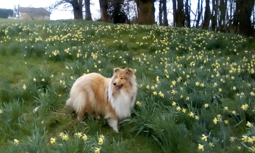 Après l'hiver le printemps !