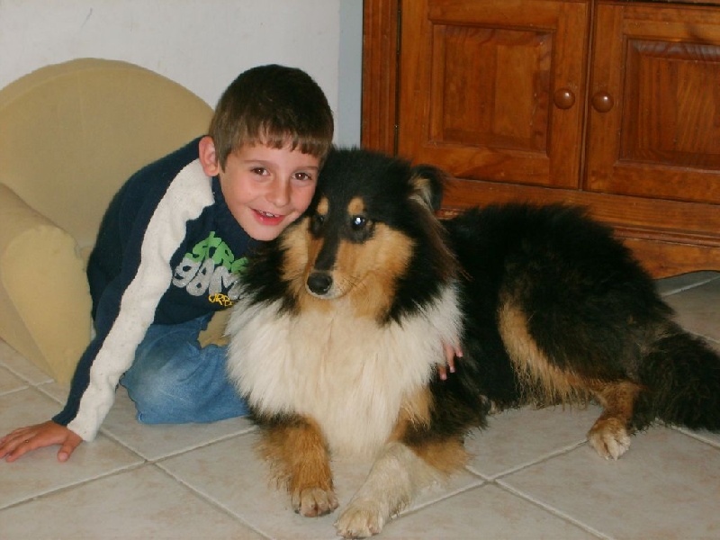 colley et enfants